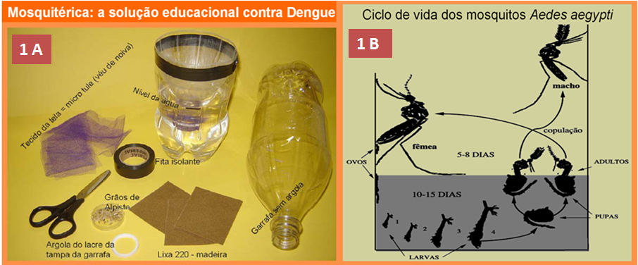 dengue 1