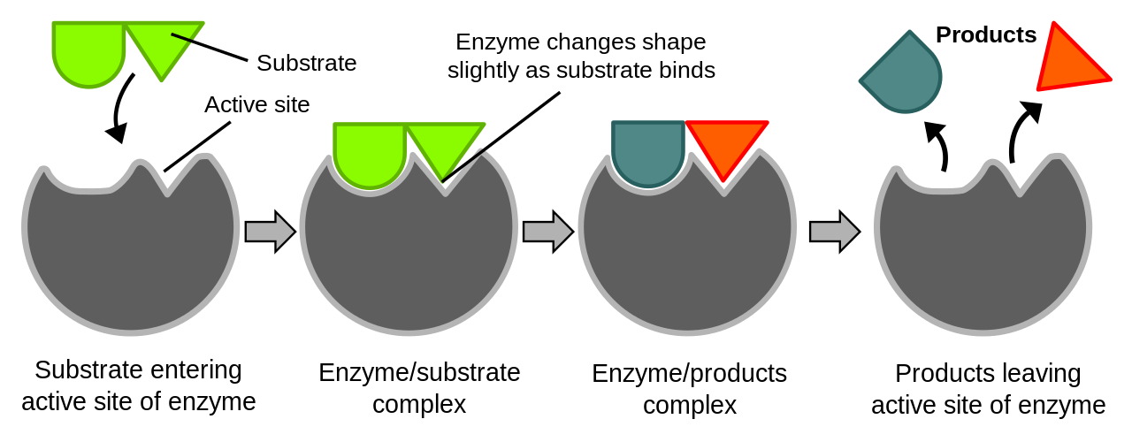 diagrama 2