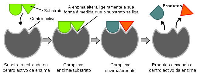 diagrama