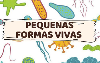 pequenas formas