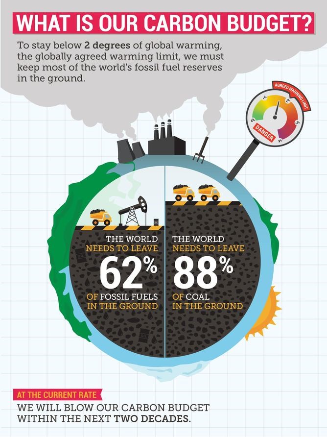 what is our carbon